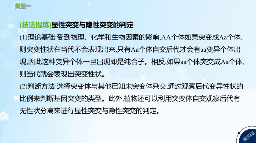 高考生物二轮复习微专题5　遗传、变异与细胞分裂的综合应用(共25张PPT)