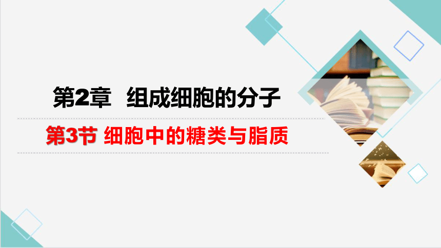 2.3 细胞中的糖类和脂质课件(共24张PPT)-人教版2019必修1