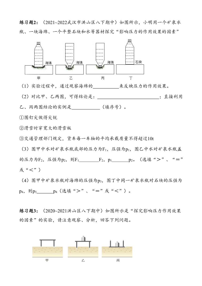 湖北省武汉市洪山区2023~2024学年八年级下册期中复习试卷——压强实验（含答案）