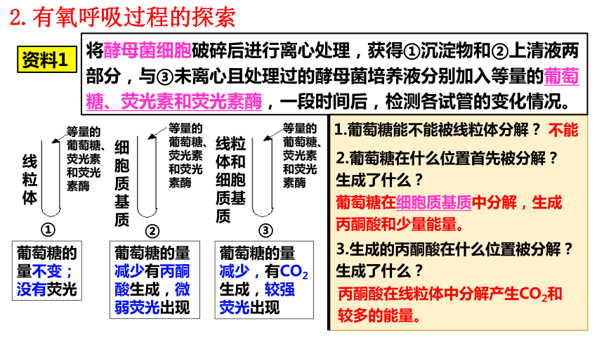 5.3细胞呼吸的原理和应用（共35张ppt）生物人教版（2019）必修1