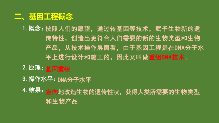 3.1重组DNA技术的基本工具课件（共18张PPT） 人教版（2019）选择性必修3