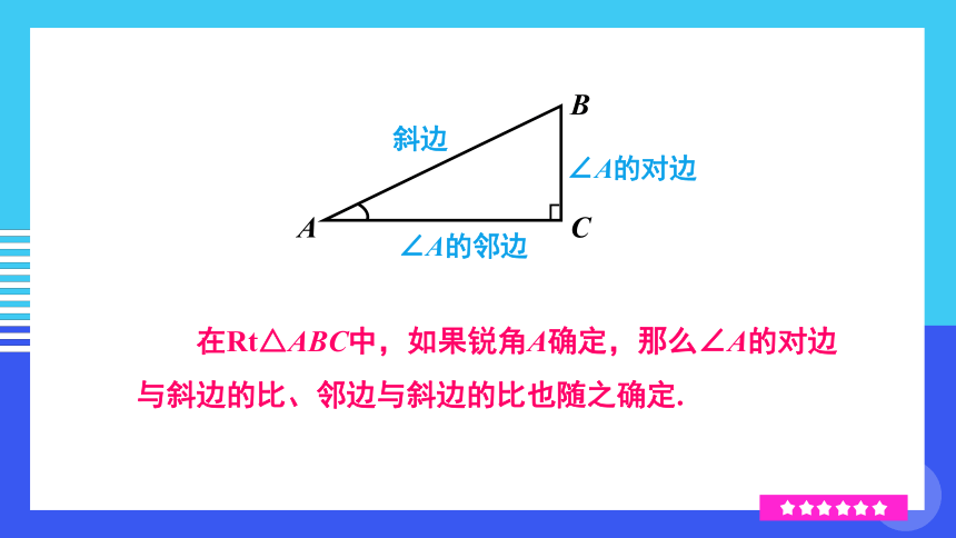 北师大版数学九年级下册1.1.2 正弦、余弦 课件（共46张PPT)