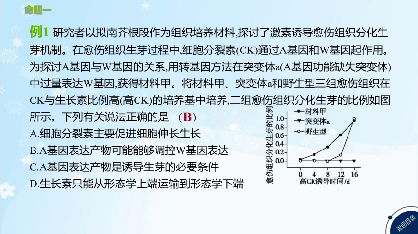 高考生物二轮复习微专题7   植物激素调节的实验分析与设计(共11张PPT)