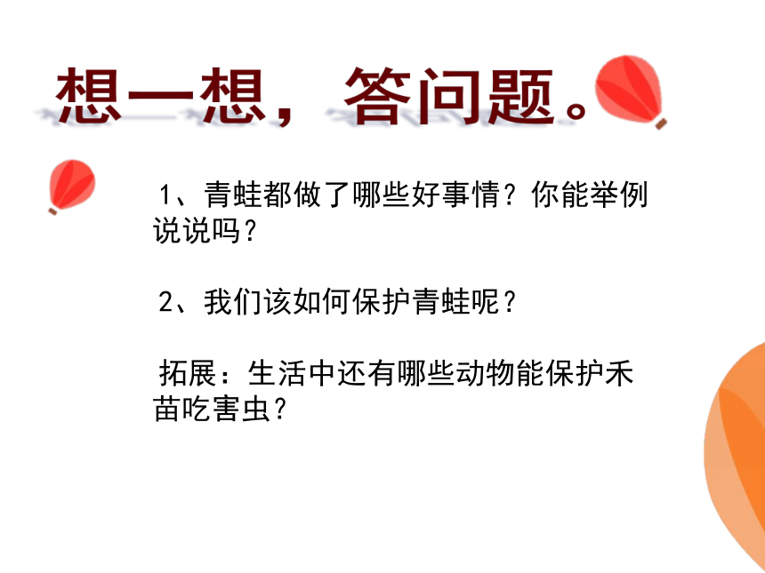 识字3 小青蛙课件(共19张PPT)