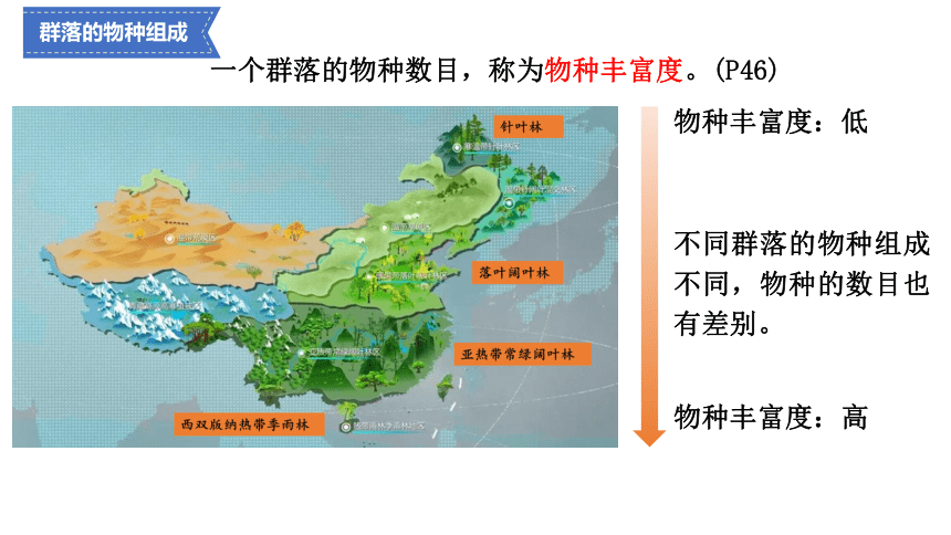 2.1群落的结构课件（共37张PPT） 人教版选择性必修2