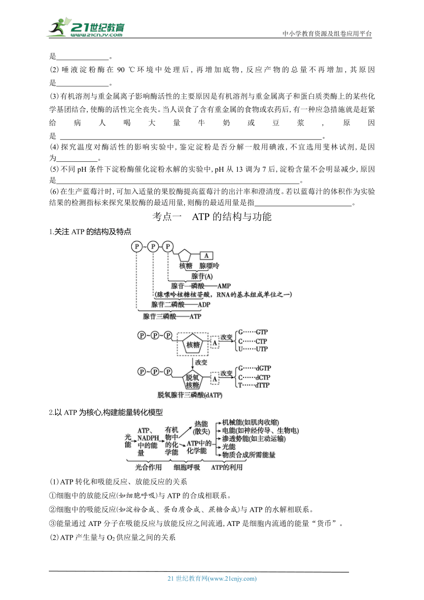 高考生物二轮复习专题学案：2 酶与ATP（含解析）