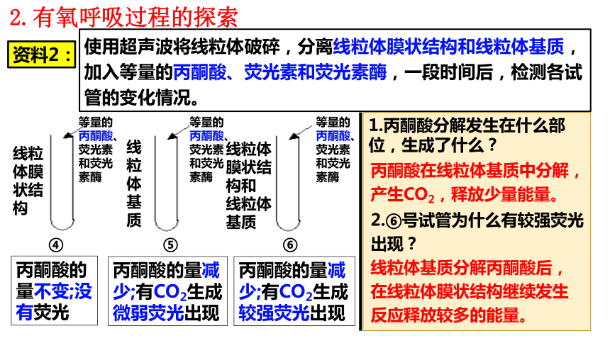 5.3细胞呼吸的原理和应用（共35张ppt）生物人教版（2019）必修1