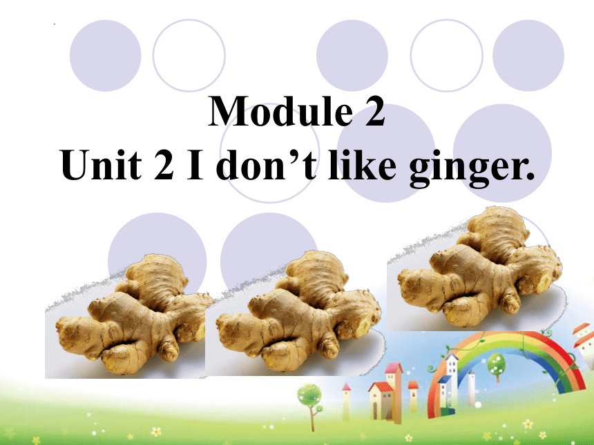 Module 2 Unit 2 I don't like ginger. 课件(共13张PPT)