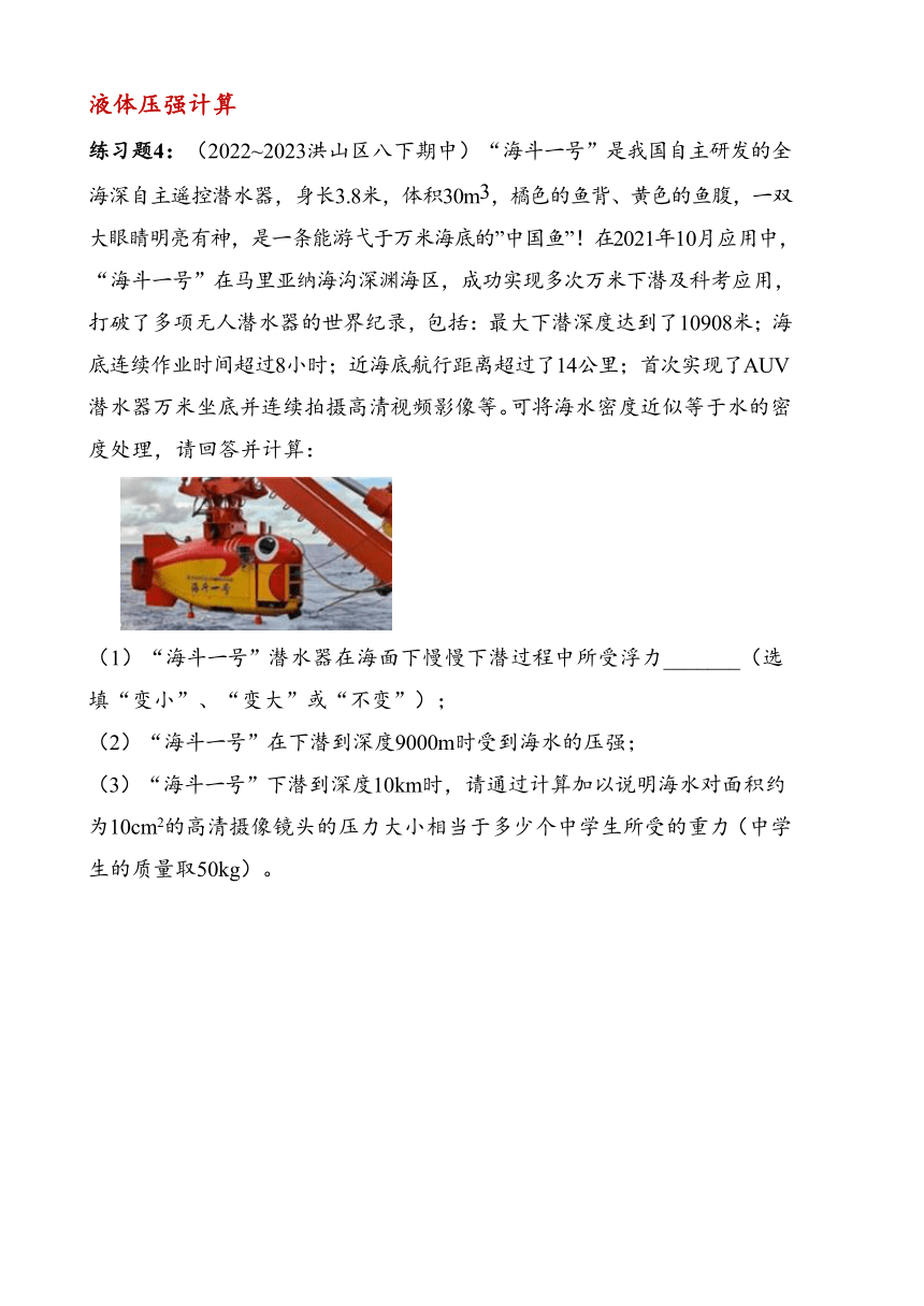 湖北省武汉市洪山区2023~2024学年八年级下册期中复习试卷——压强计算（含答案）