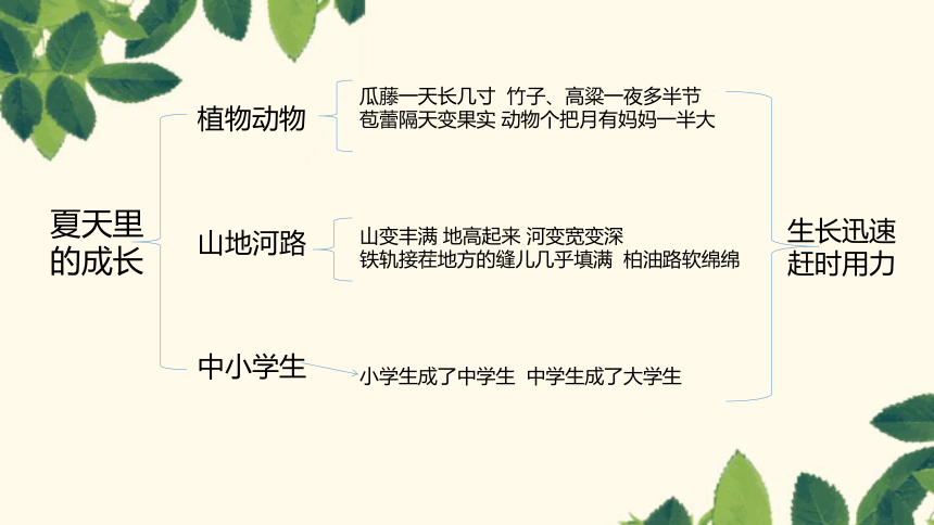 统编版六年级上册语文第五单元复习课件(共23张PPT)