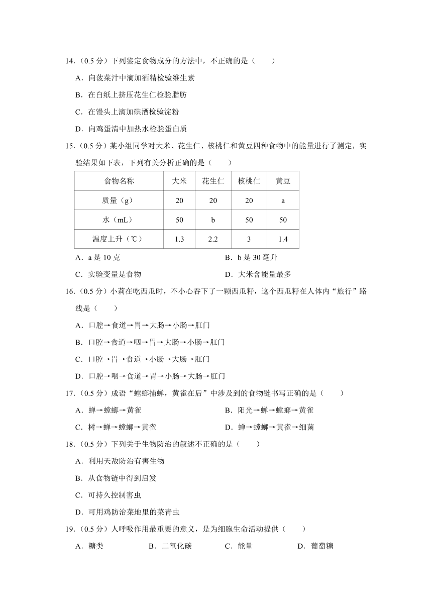 江苏省泰州市姜堰区2023-2024学年七年级上学期期末生物试卷（含解析）