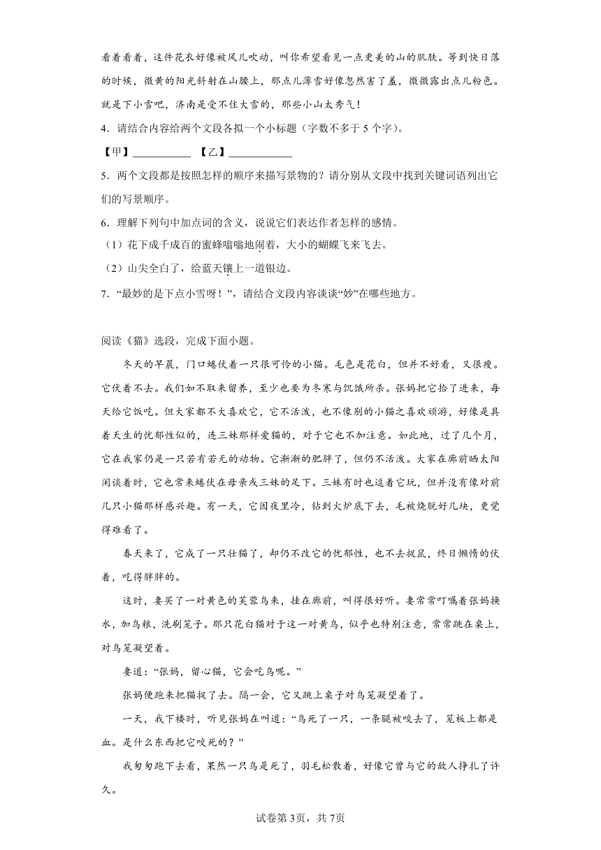 2024年中考语文七年级上册一轮复习试题（十九）（含答案）