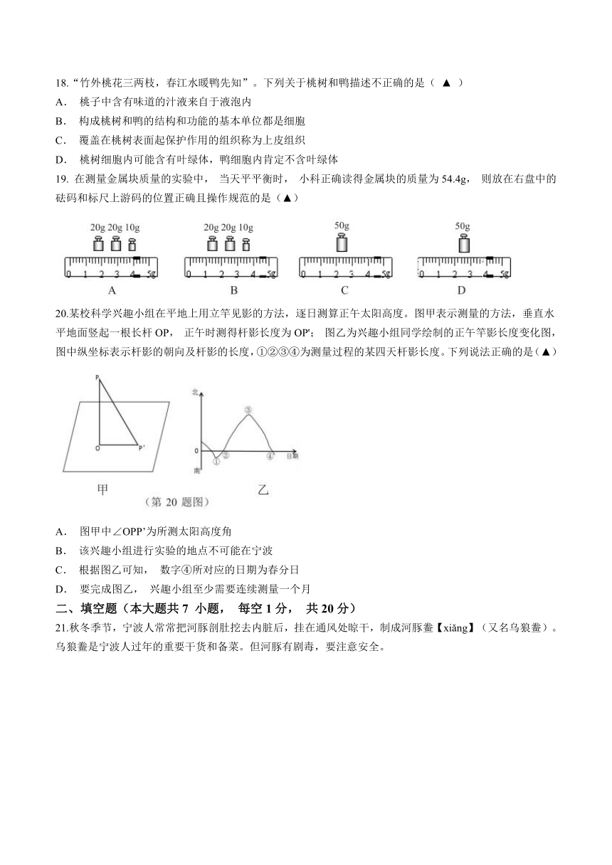 浙江省宁波市南三县2023学年第一学期期末抽测七年级科学试题（含答案）