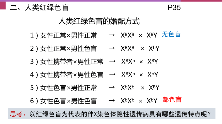 2.3伴性遗传 课件（共31张PPT）-2023-2024学年高一下学期生物人教版（2019）必修2