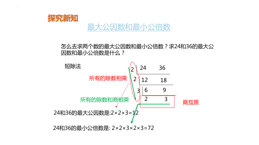 六年级下册数学人教版6.1.1 数的认识（课件）（共25张PPT）