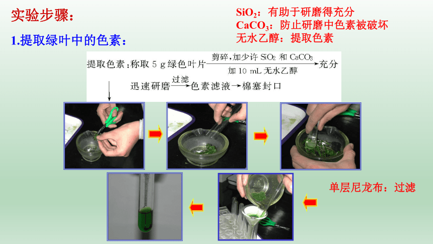 5.4.1光合作用和能量转化(第一课时)课件(共28张PPT1份视频)-人教版（2019）必修1