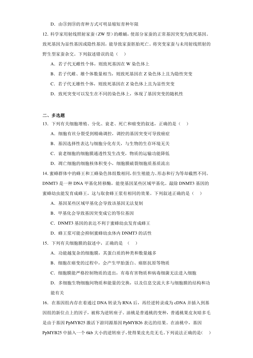 第四章 生物的变异 单元测试-2023-2024学年高中生物学浙科版（2019）必修第二册（解析版）