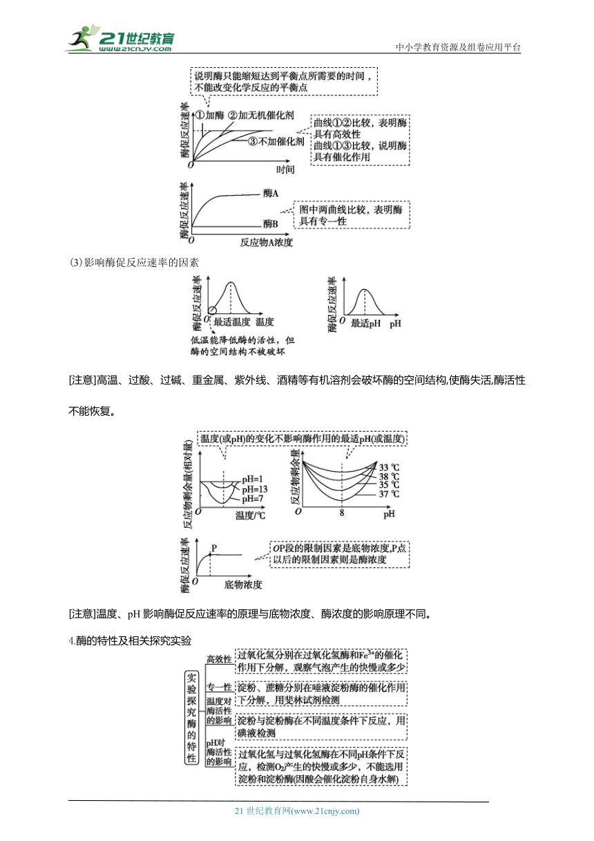 高考生物二轮复习专题学案：2 酶与ATP（含解析）