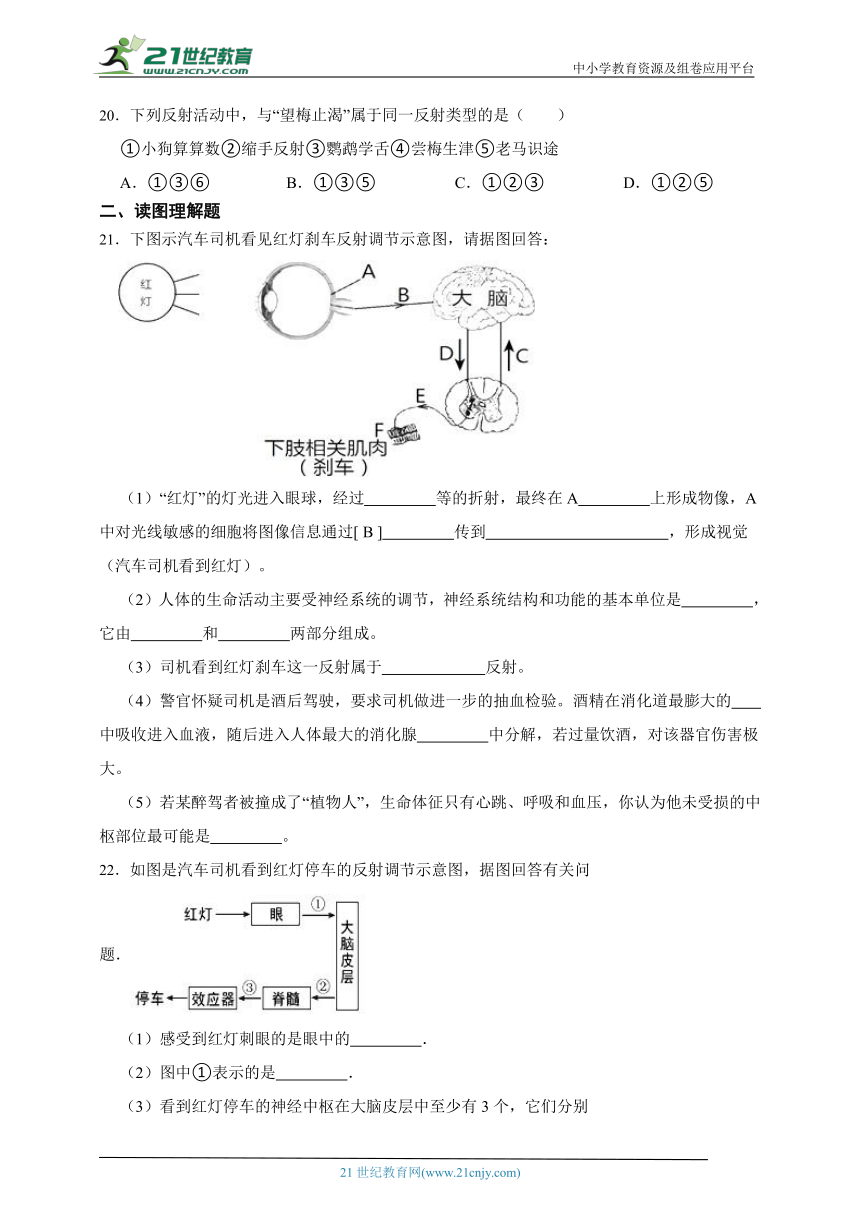 冀少版七年级下册2.4 合理用脑 高效学习综合题（含解析）