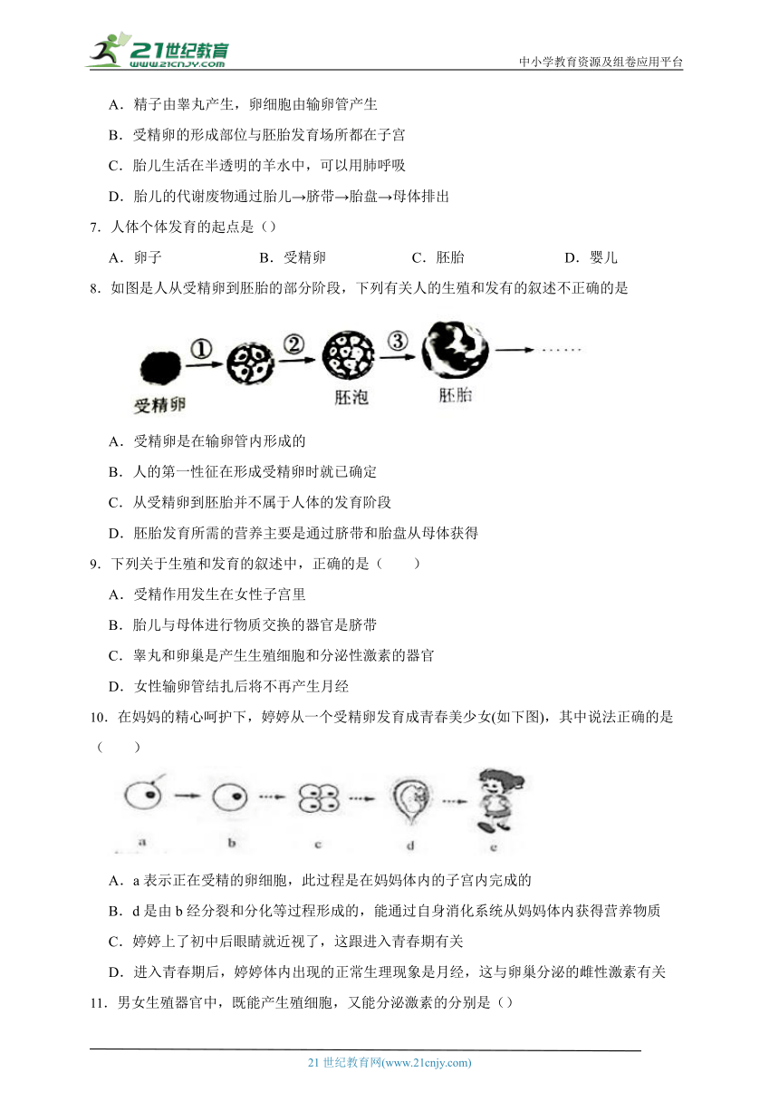 浙教版科学 七下1.1 新生命的诞生同步练习（含解析）