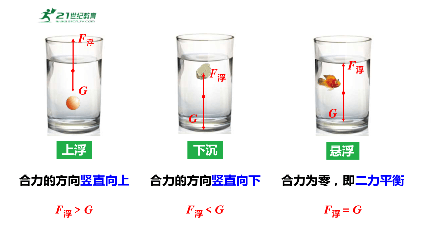 9.3物体的浮与沉第1课时物体的浮沉条件 课件 (共32张PPT) 2023-2024学年度沪科版物理八年级全册