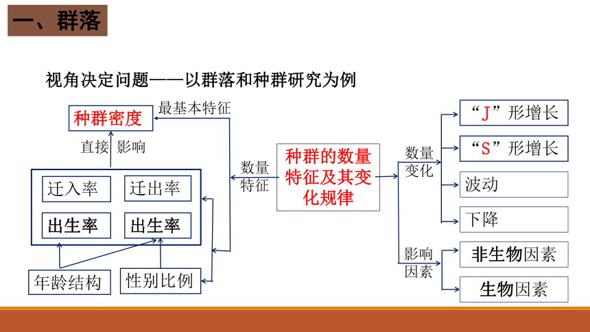 2.1群落的结构（第1课时）教学课件(共26张PPT)-高二上学期生物人教版选择性必修2