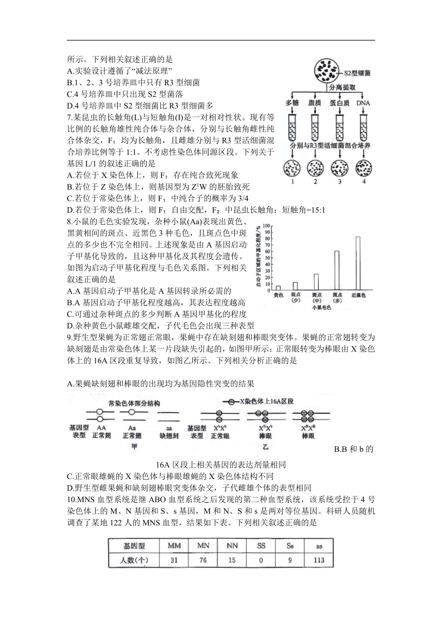 湖南省九师联盟2023～2024学年高三上学期期末考试生物试题（含答案）