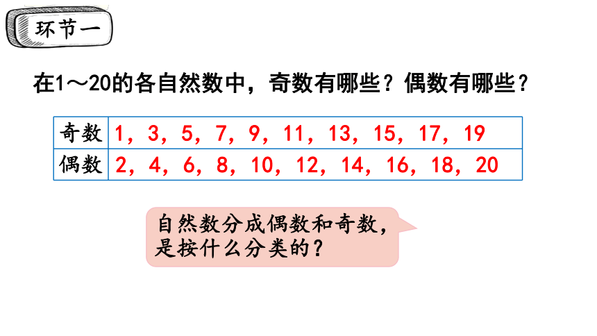 2024（大单元教学）人教版数学五年级下册2.5  质数和合数课件（20张PPT)