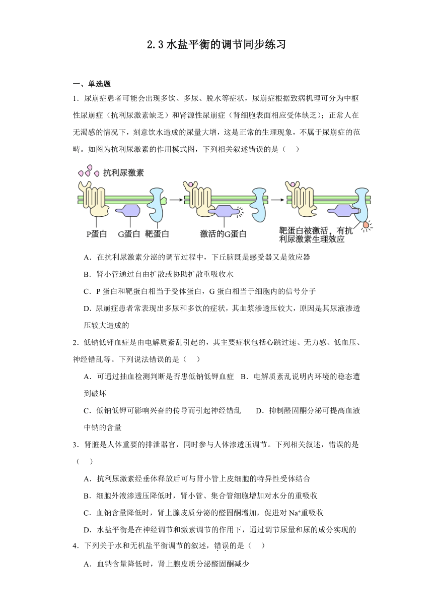 2.3水盐平衡的调节同步练习2023-2024学年高二上学期生物苏教版选择性必修1（解析版）