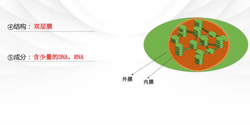 3.2细胞器之间的分工合作课件（共36张PPT） 人教版必修1