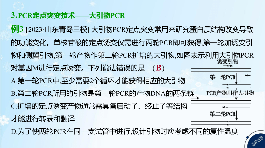 高考生物二轮复习微专题9　PCR技术的热点考法归纳及融合基因的原理和应用(共31张PPT)