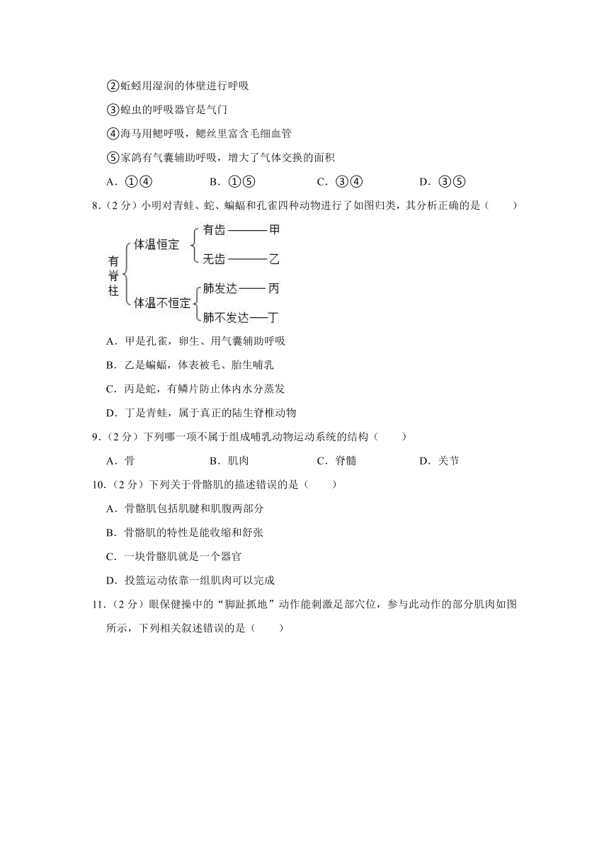 河南省郑州市中原区2023-2024学年八年级上学期期末生物试卷（含解析）