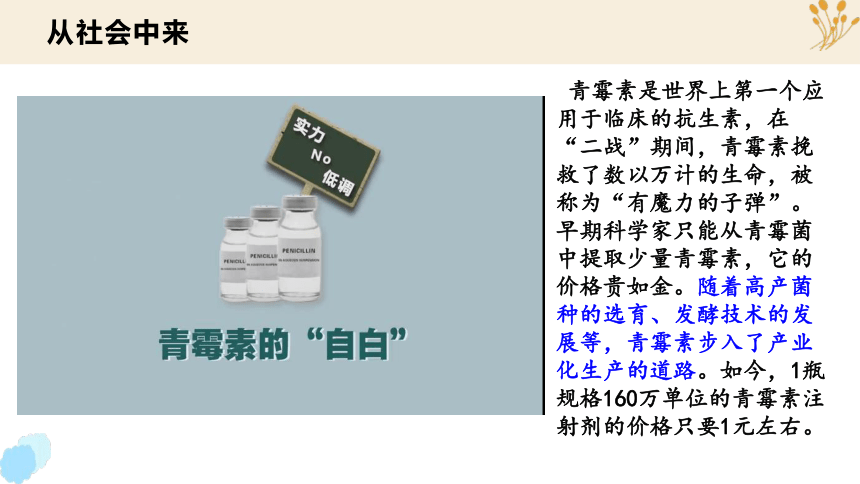 1.3 发酵工程及其应用(共28张PPT)