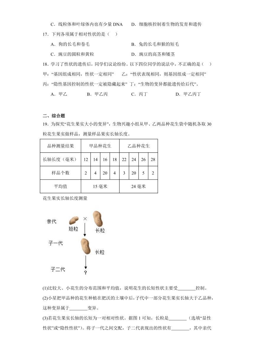 2024年中考生物专题复习：生物的遗传和变异（含答案）