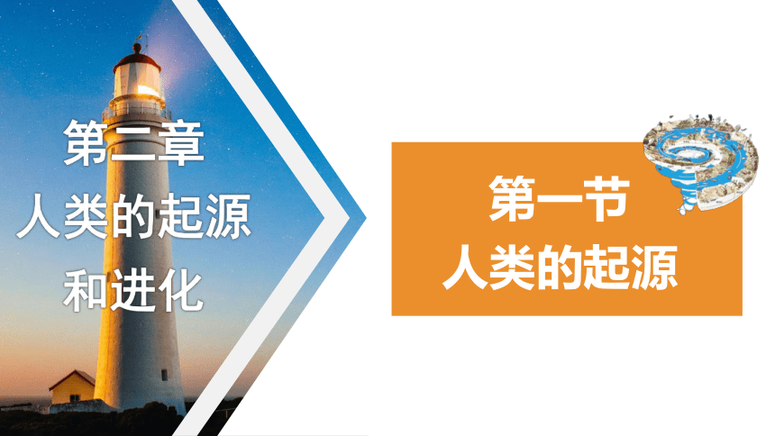 5.2.1 人类的起源课件(共30张PPT）-2023-2024学年济南版生物八年级下册