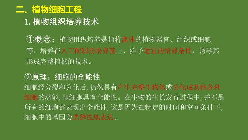 2.1.1植物细胞工程的基本技术课件 （共22张PPT）人教版（2019）选择性必修3