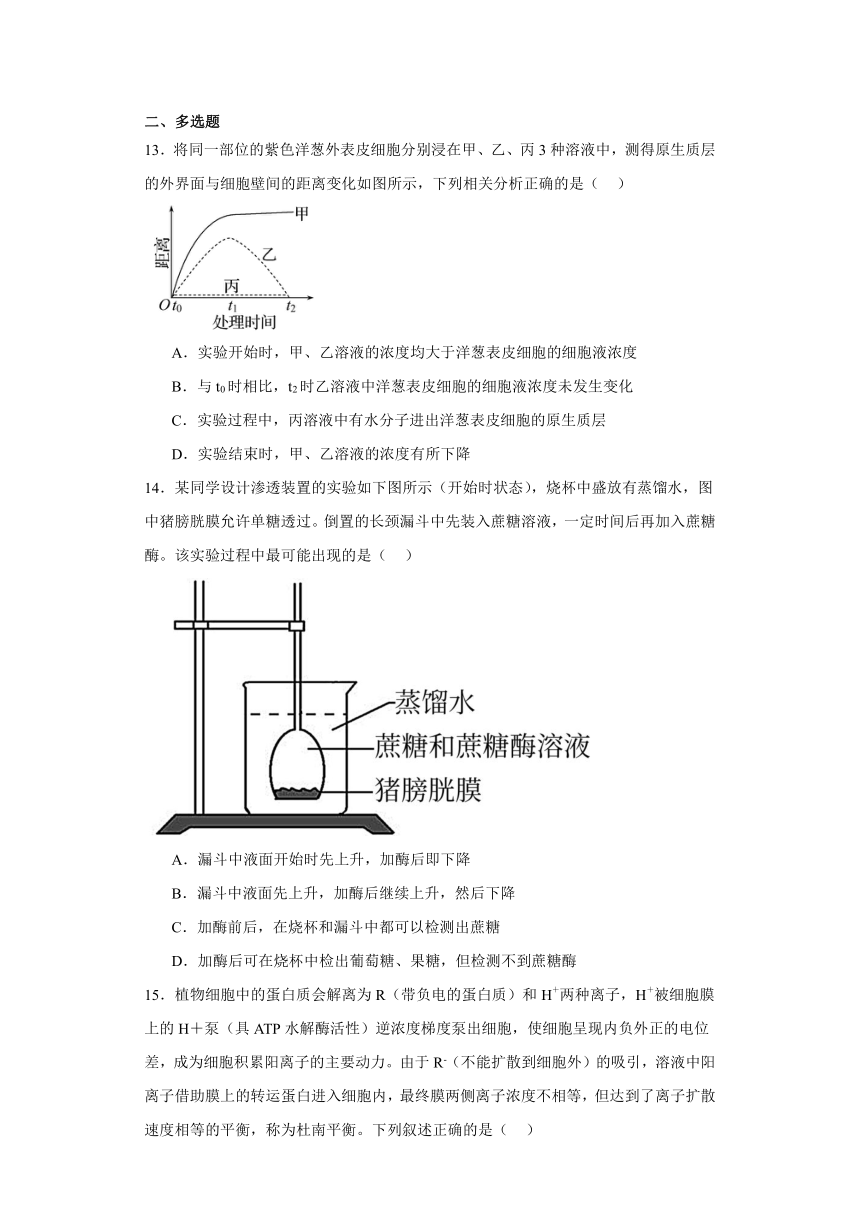 2.1遗传信息的复制同步练习2023-2024学年高一下学期生物北师大版必修2（解析版）