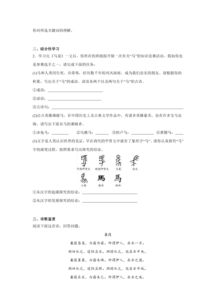 2024年中考语文八年级下册一轮复习试题（十六）（含答案）