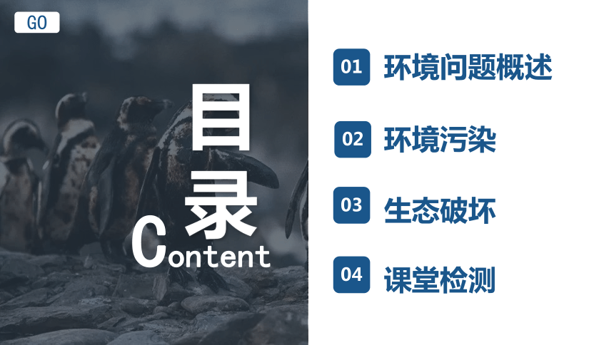 地理湘教版(2019）选择性必修3 1.2人类活动与环境问题 课件（共67张ppt内嵌视频）