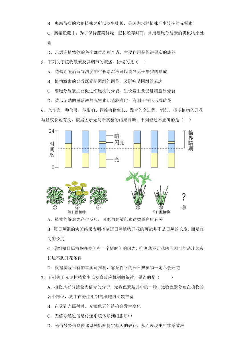 5.4外界因素对植物生命活动的影响同步练习2023-2024学年高二上学期生物北师大版2019（解析版）