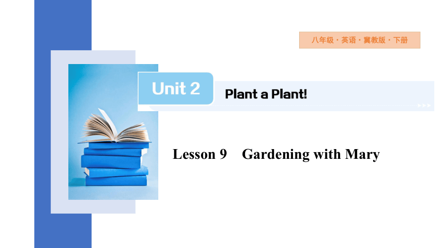 Unit 2 Lesson 9 Gardening with Mary  课件（共17张PPT） 2023-2024学年初中英语冀教版七年级下册