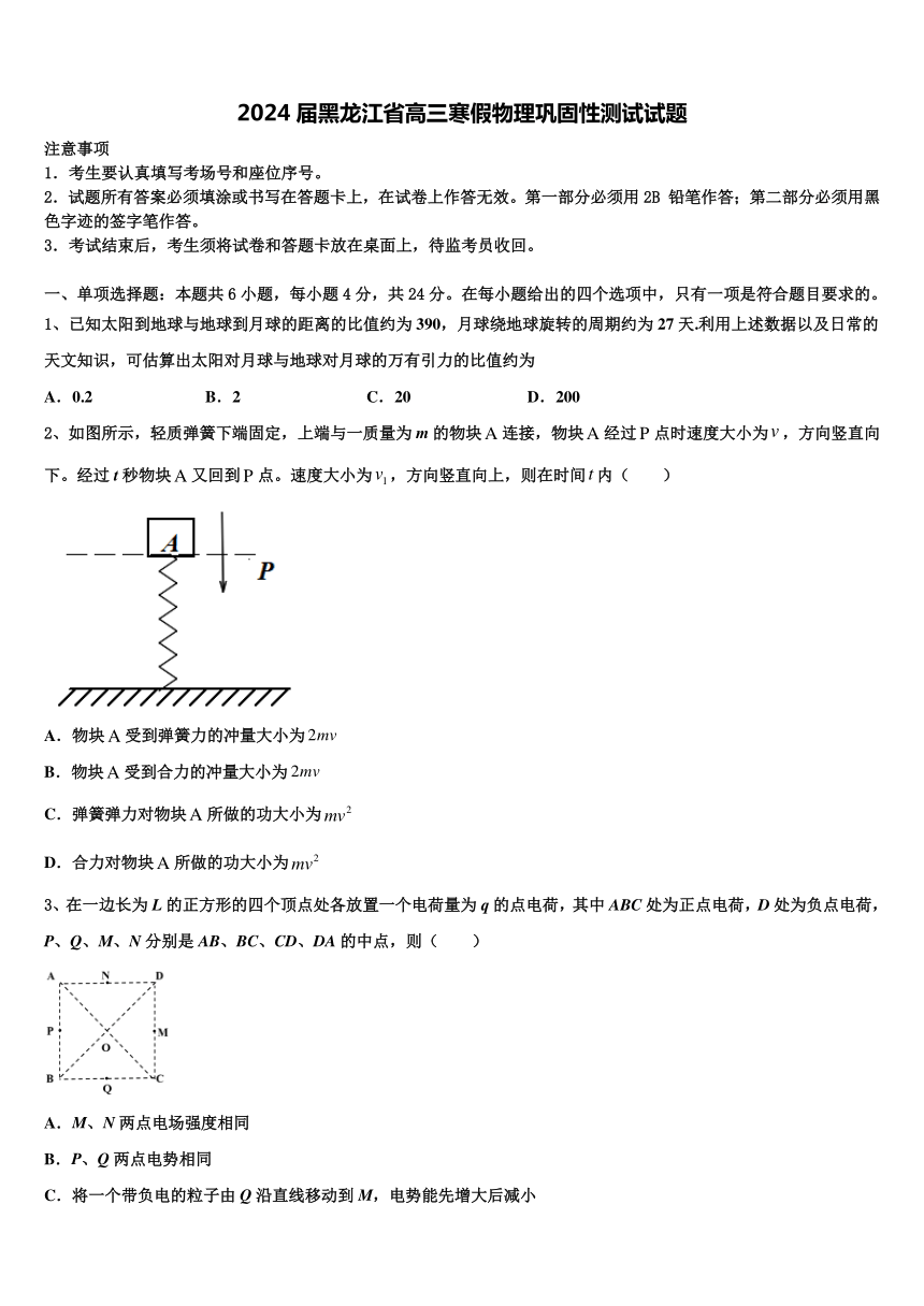 2024届黑龙江省高三寒假物理巩固性测试试题（含解析）
