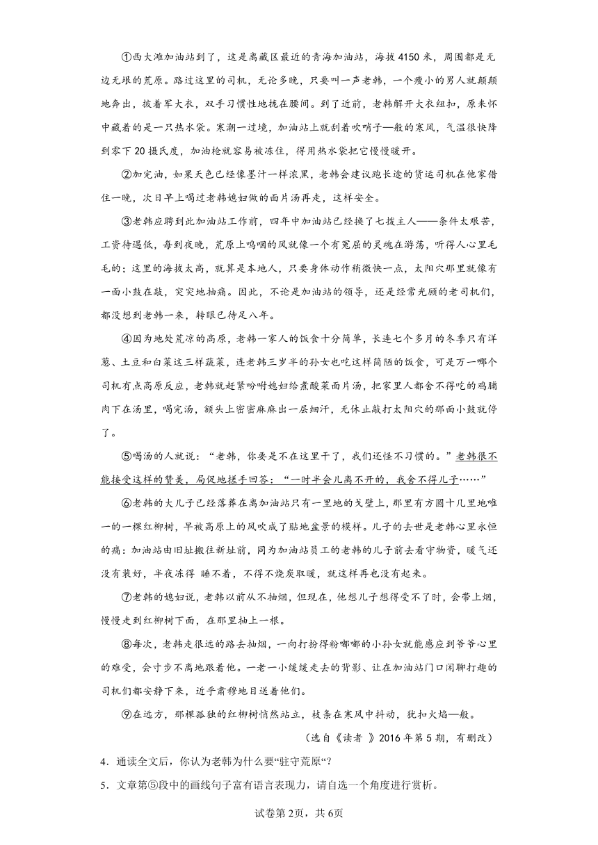 2024年中考语文七年级上册一轮复习试题（十六）（含答案）