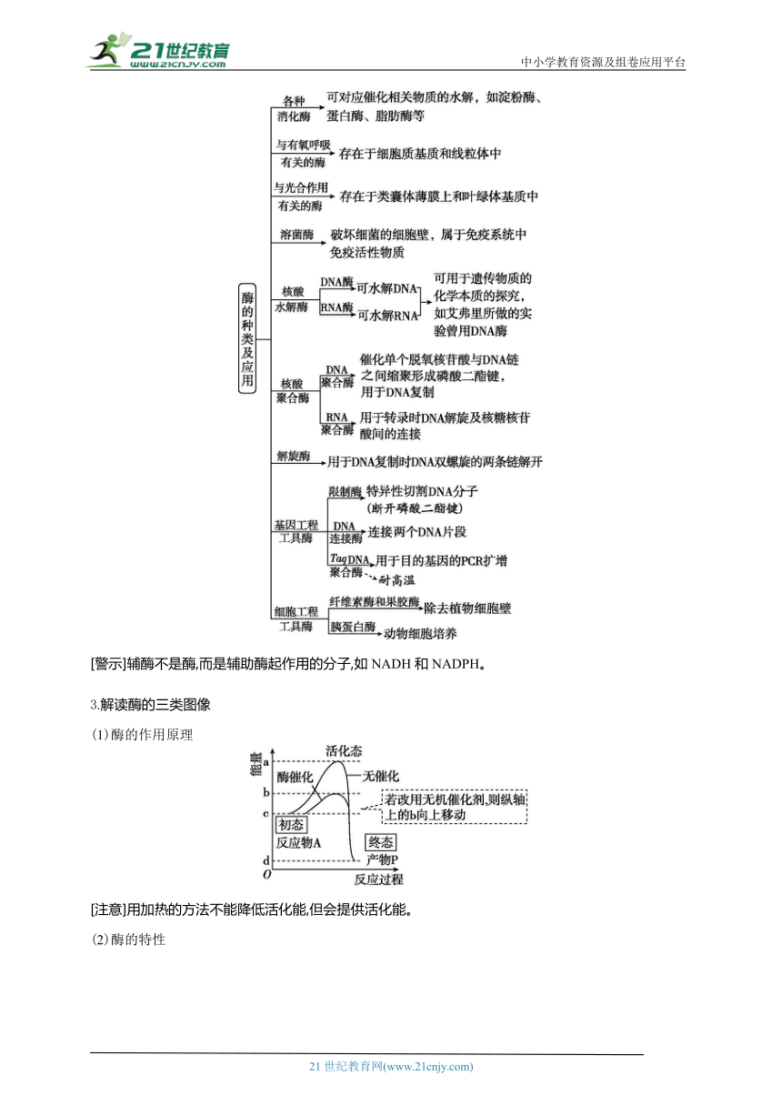 高考生物二轮复习专题学案：2 酶与ATP（含解析）