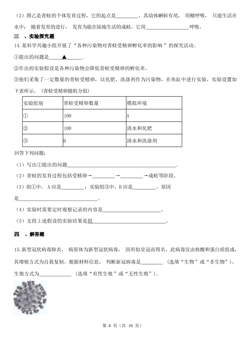 1.3 动物的生长时期 同步练习（含解析）