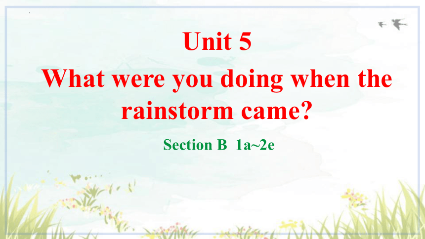Unit 5 What were you doing when the rainstorm came? Section B 1a-2e  课件(共33张PPT)