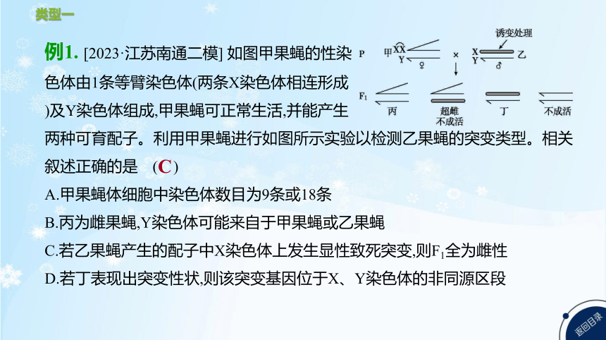 高考生物二轮复习微专题5　遗传、变异与细胞分裂的综合应用(共25张PPT)