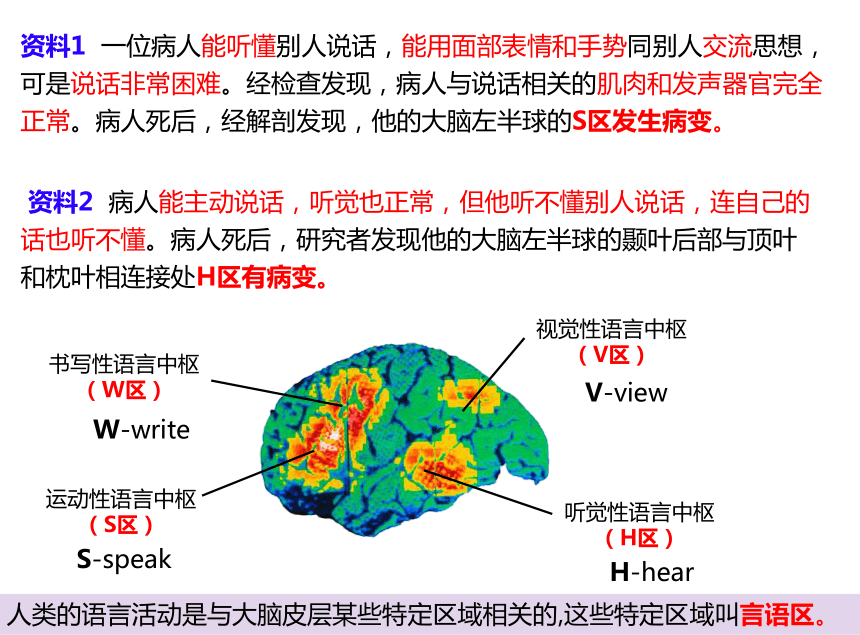 2.5人脑的高级功能-(共25张PPT2份视频)课件人教版2019选择性必修1