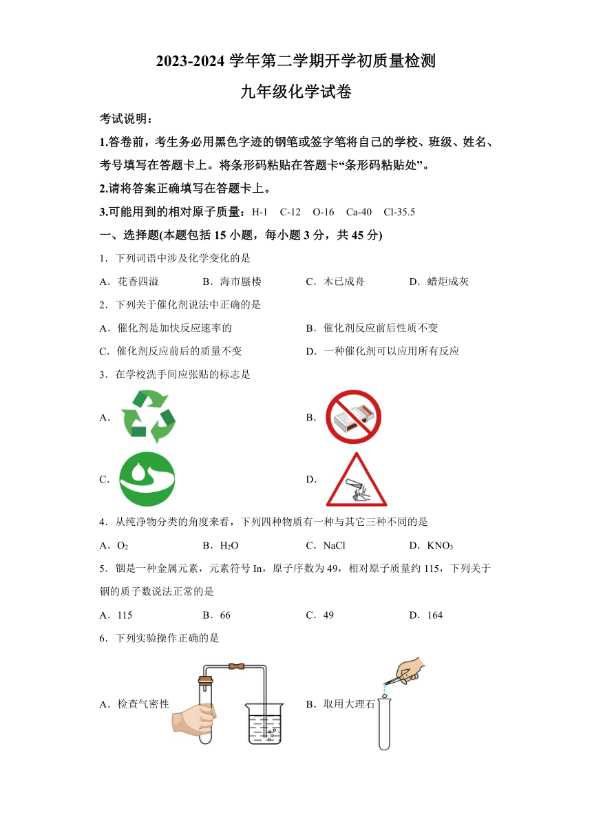 广东省惠州市惠东县2023-2024学年九年级上学期开学化学试题（含解析）