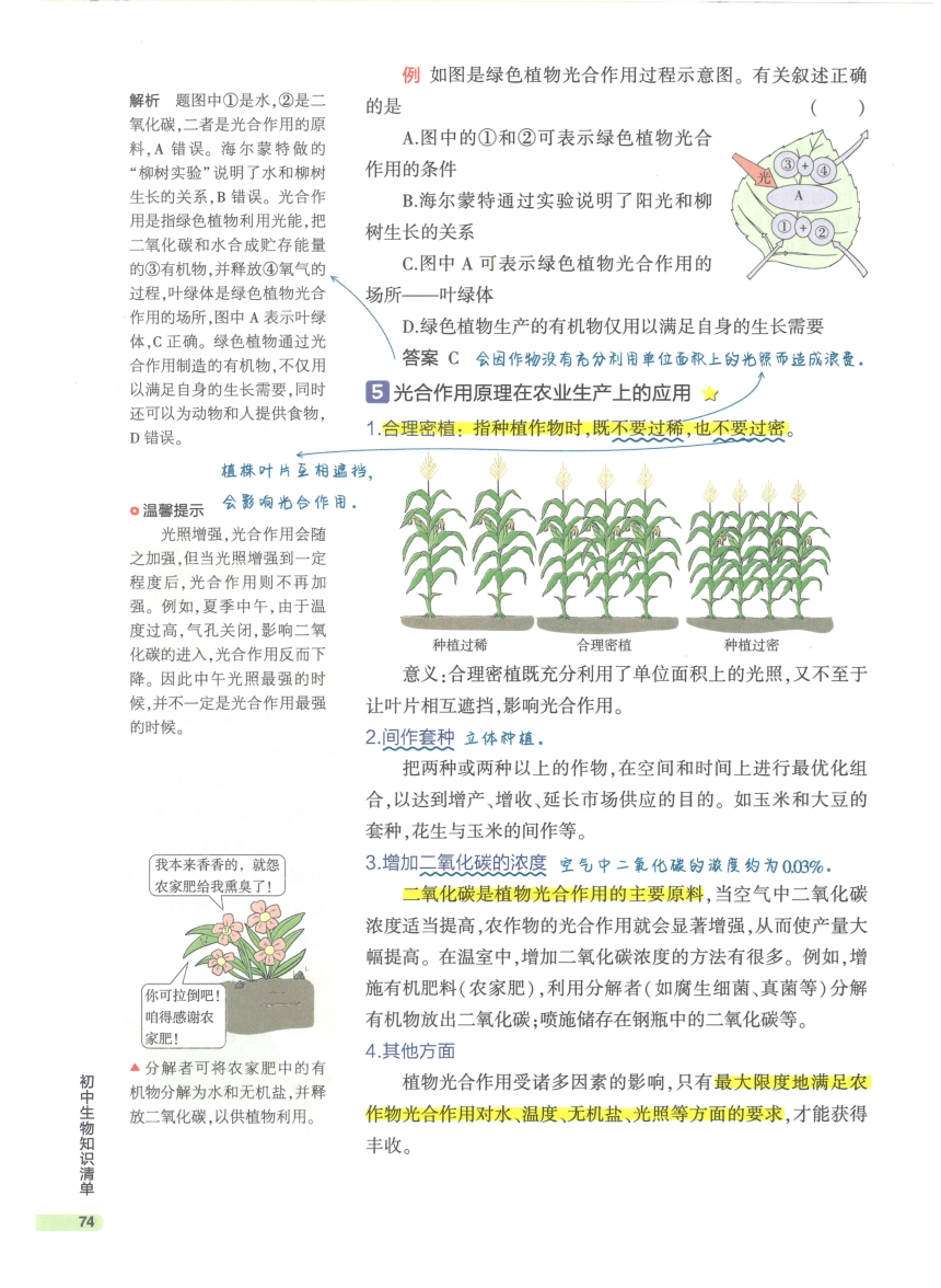 【知识清单】第3单元 第5章 绿色植物与生物圈中的碳-氧平衡-2024中考生物学总复习-人教版（pdf版）